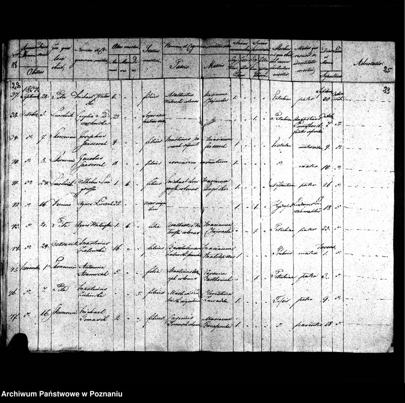 image.from.unit.number "Duplicatum librorum baptisatorum, copulatorum, mortuorum"
