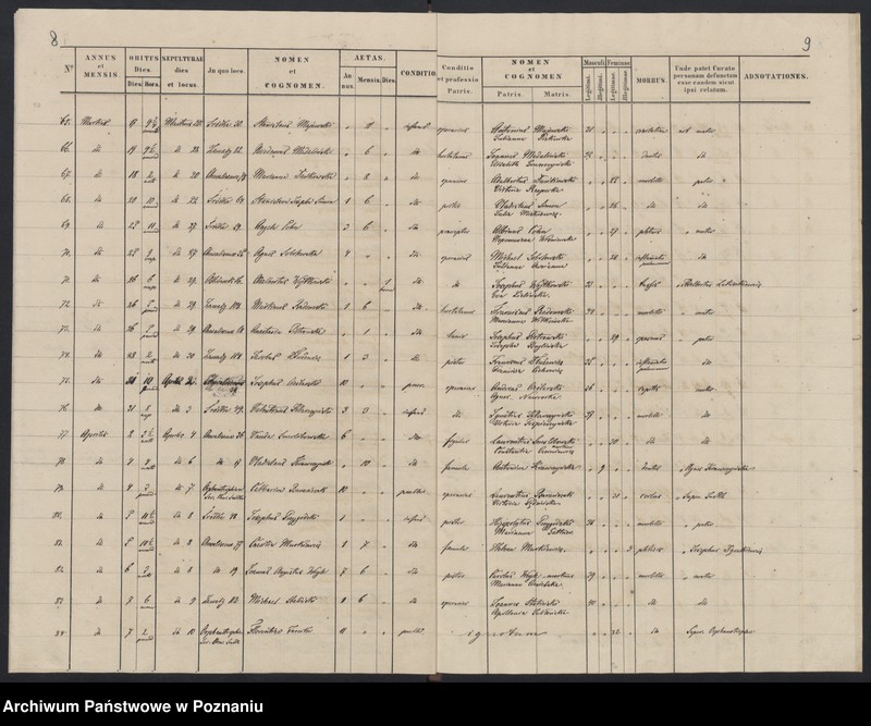 Obraz 7 z jednostki "Indeks zgonów"