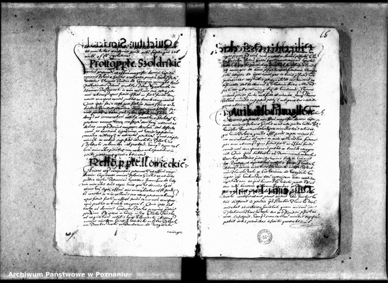 Obraz 19 z jednostki "Inscriptiones, relationes [inducta]"