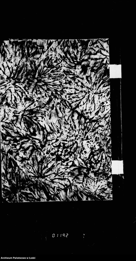 Obraz 9 z jednostki "Sprawy komisji pogrzebowej"