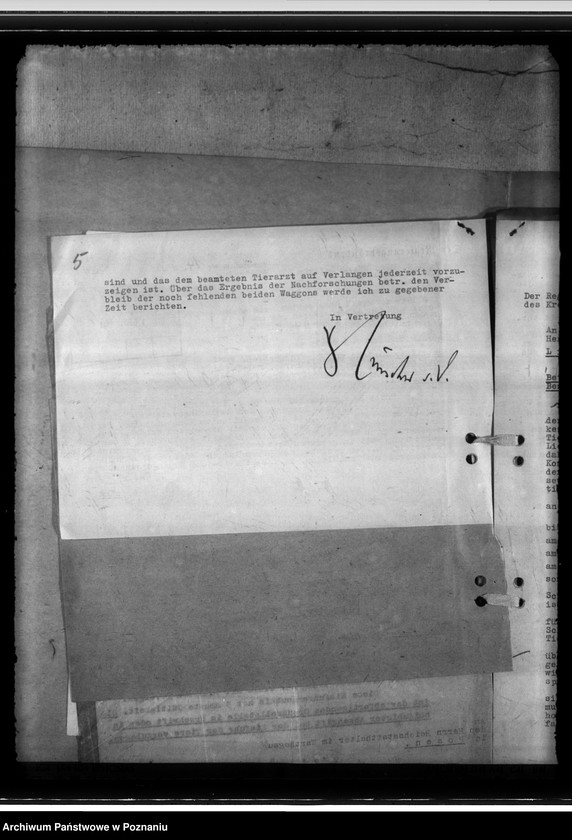 Obraz 9 z jednostki "Einfuhr von Karakulschafen aus den Besetzten Ostgebieten"