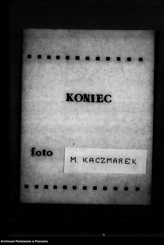 Obraz 12 z jednostki "Zalesienie nieużytków w powiecie żnińskim"