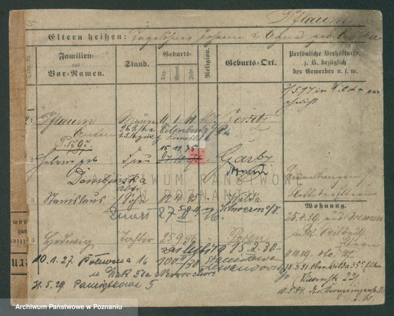 Obraz 6 z jednostki "Pfeifke - Pfleging"