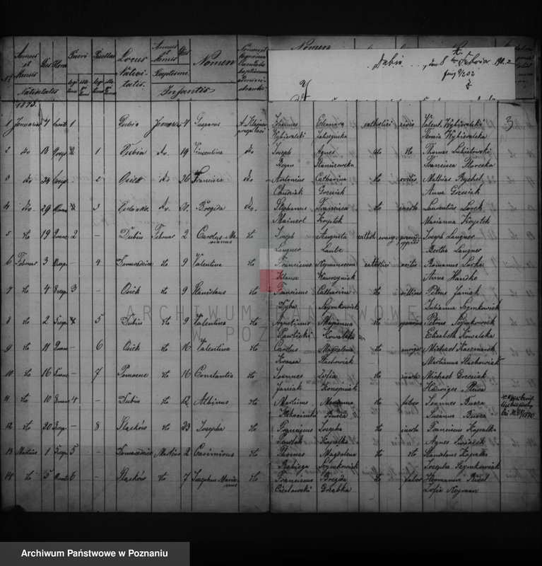 image.from.unit.number "Duplikatus baptisatorum, copulatorum, mortuorum"