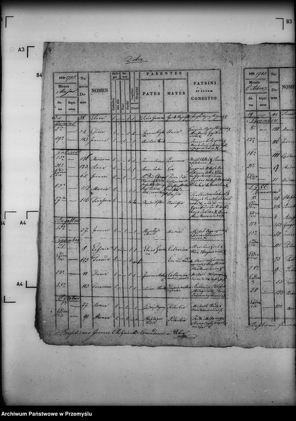 Obraz 11 z jednostki "[Kopie ksiąg metrykalnych parafii Dobra (dekanat Sieniawa)]"