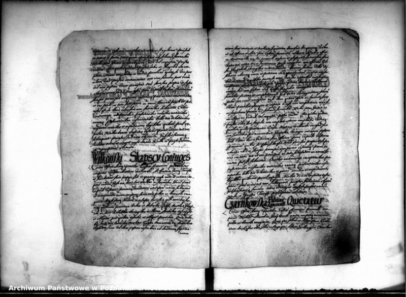 Obraz 4 z jednostki "Inscriptiones [inducta]"