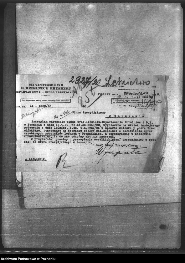 Obraz 5 z jednostki "Leśnictwo"