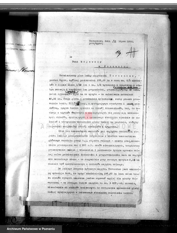 Obraz 18 z jednostki "Nadzór nad gospodarką w lasach majętności Torzeniec powiat kępiński"