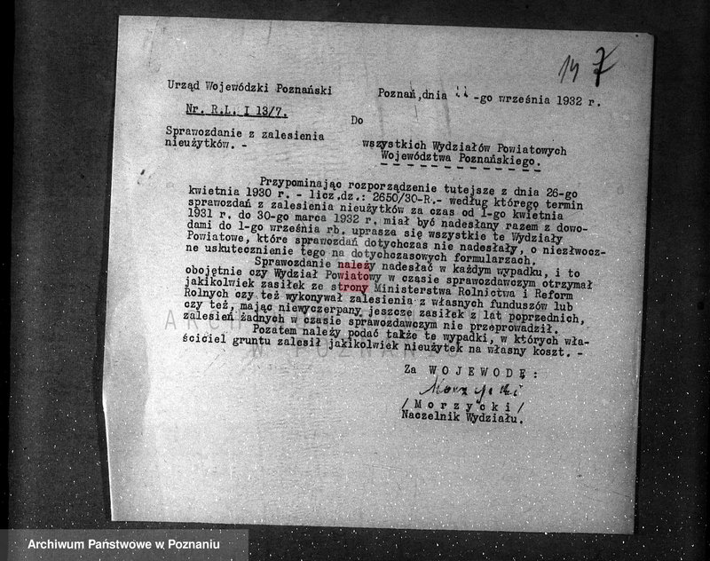 Obraz 18 z jednostki "Zalesienie nieużytków /sprawy ogólne/"