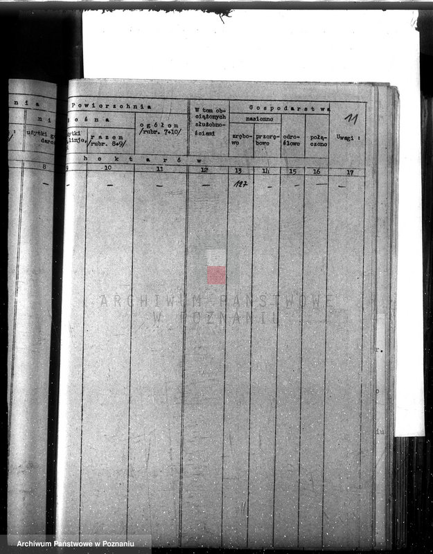 image.from.unit.number "Sprawozdanie z działalności organów ochrony lasów za rok 1934"