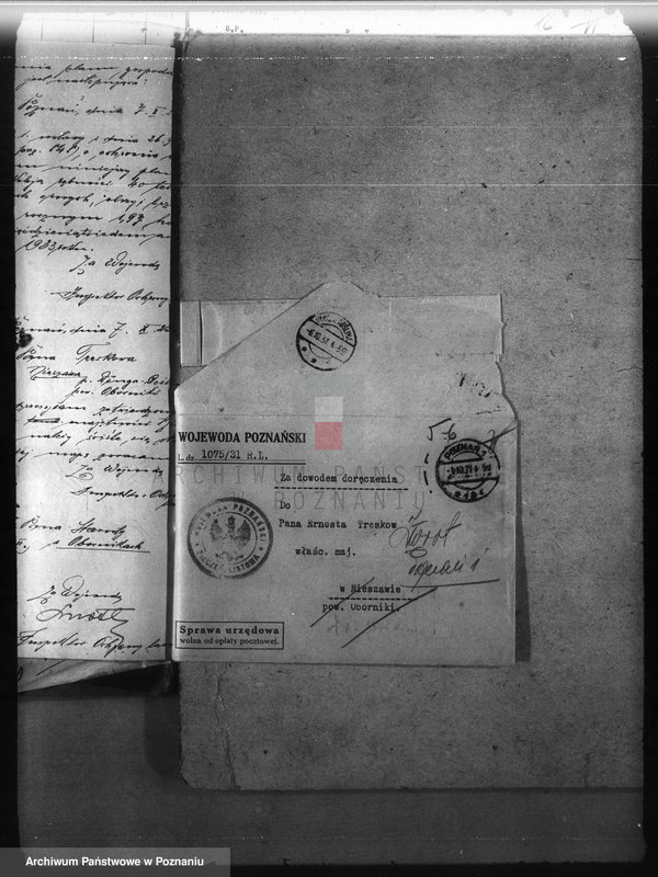 Obraz 9 z jednostki "Nadzór nad gospodarką w lasach majętności Nieszawa powiat obornicki"