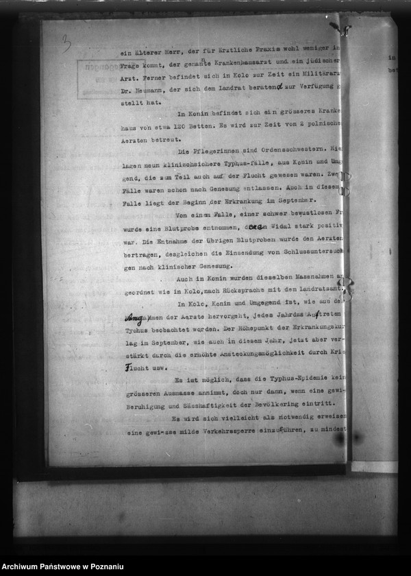 Obraz 7 z jednostki "Typhus"