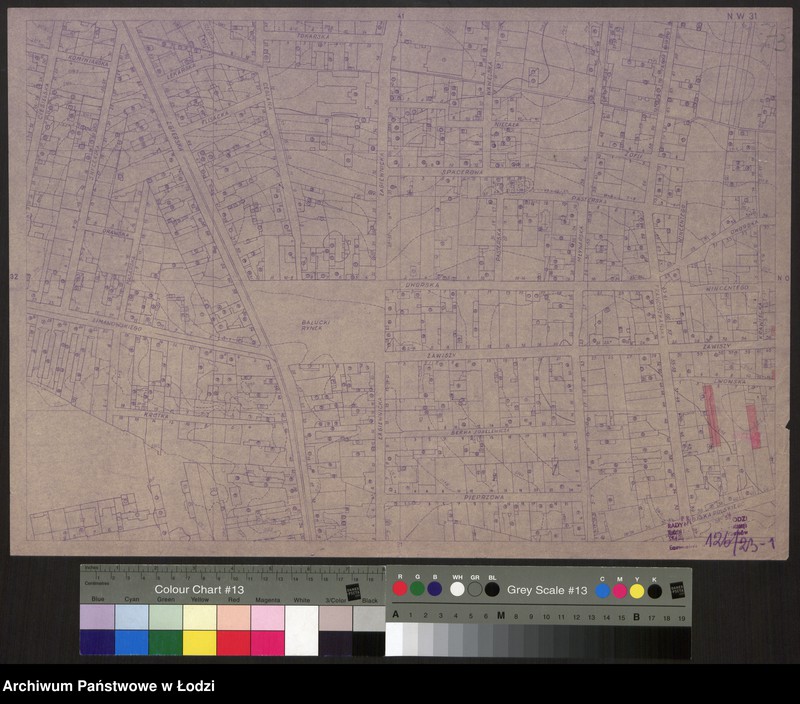 Obraz 1 z jednostki "Plan miasta Łodzi Sekcja NW 31"