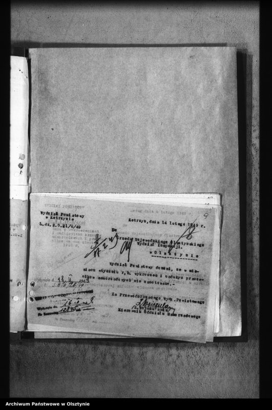 image.from.unit.number "Dane o wykroczeniach i nadużyciach w Samorządzie"