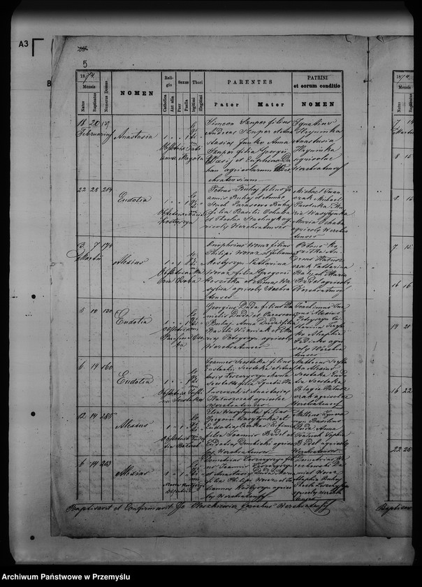 Obraz 9 z jednostki "[Kopie ksiąg metrykalnych parafii Werchrata z filią Prusie (dekanat Rawa Ruska)]"