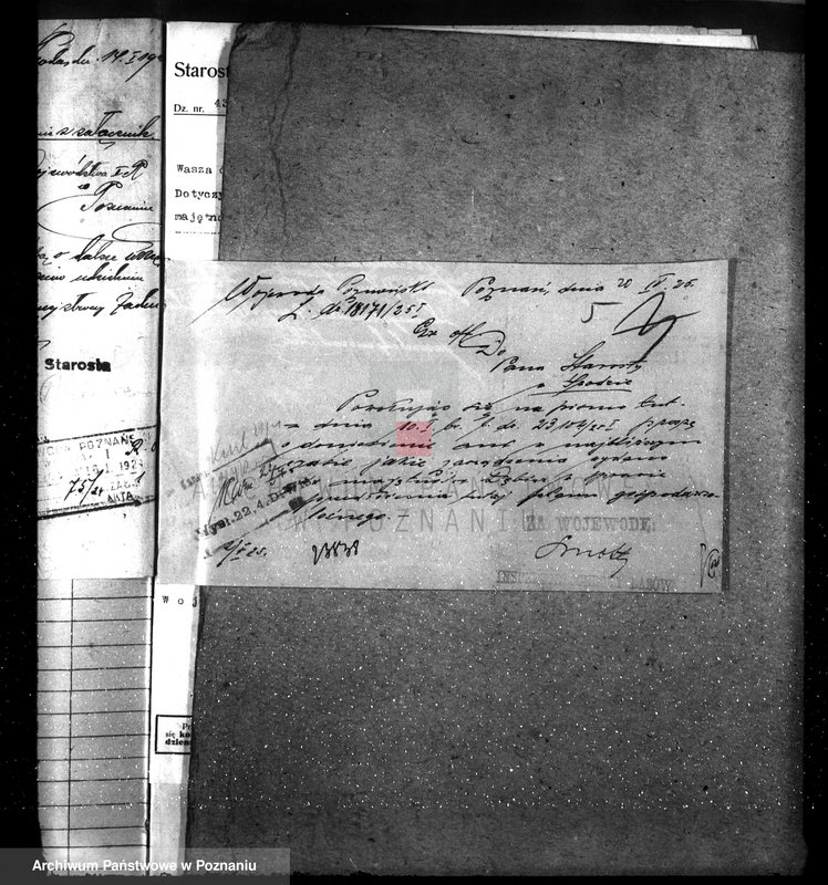 Obraz 9 z jednostki "Nadzór nad gospodarką w lasach majętności Dębicz powiat średzki"