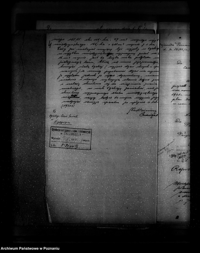 Obraz 8 z jednostki "Gospodarka leśna kościoła katolickiego Wieszki powiat szubiński"