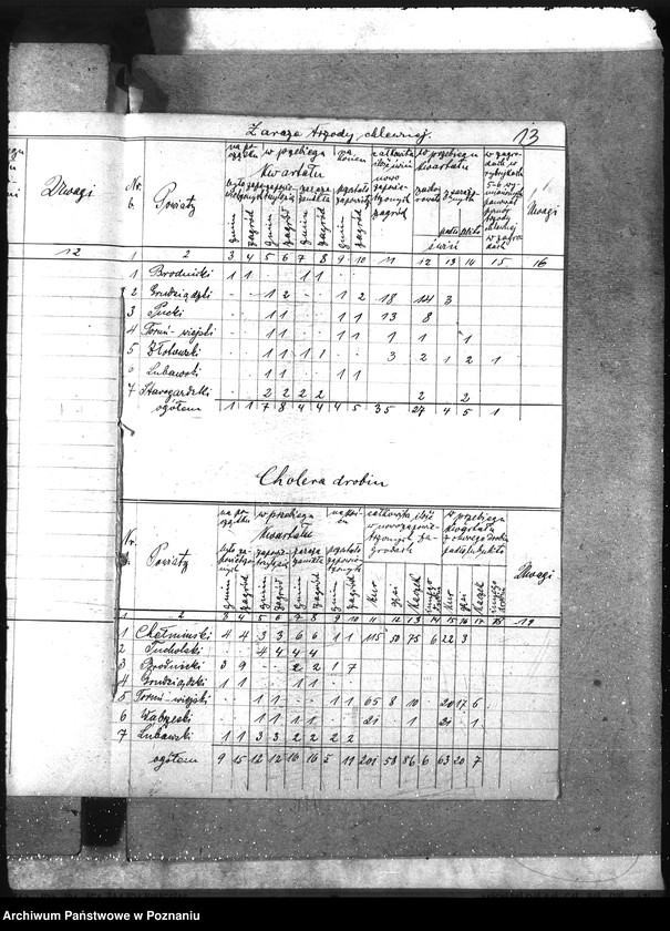 Obraz 17 z jednostki "Wykazy chorób zaraźliwych [kwartalne]"