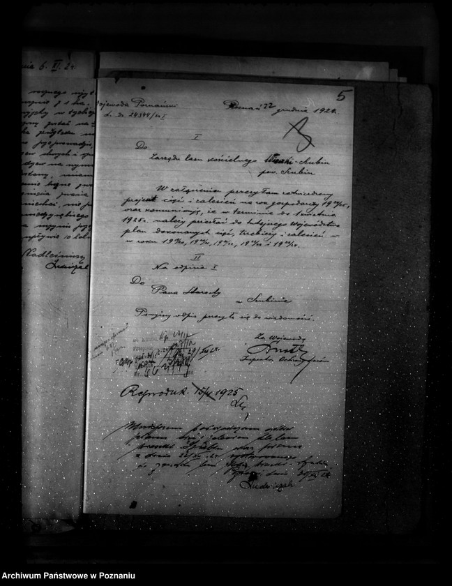 Obraz 9 z jednostki "Gospodarka leśna kościoła katolickiego Wieszki powiat szubiński"