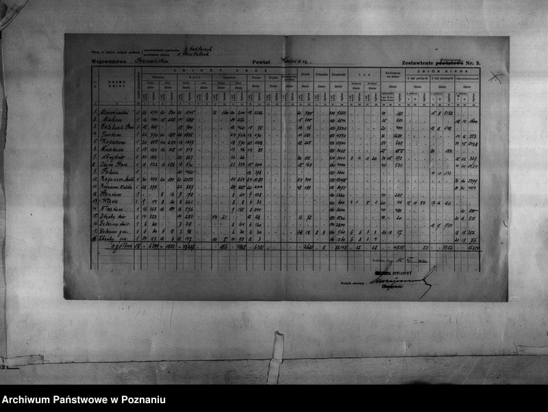 Obraz 8 z jednostki "/Statystyka produkcji rolnej - zestawienie z terenu powiatu kościańskiego"