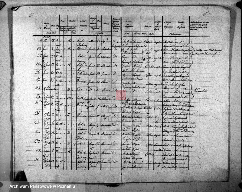 image.from.unit.number "Duplicat natorum, copulatorum, mortuorum"