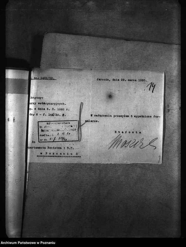 Obraz 18 z jednostki "[weterynarze narodowości niemieckiej]"