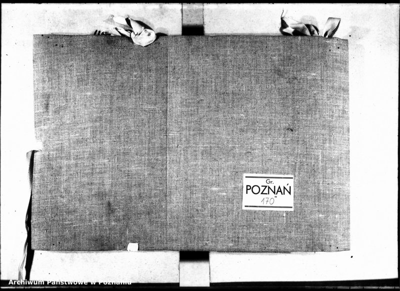 Obraz 3 z jednostki "Inscriptiones [inducta]"