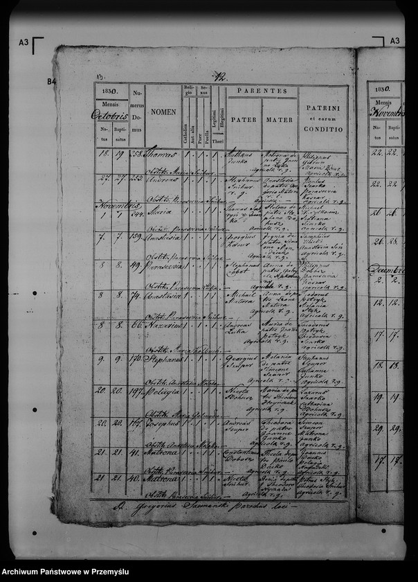 Obraz 18 z jednostki "[Kopie ksiąg metrykalnych parafii Dziewięcierz (dekanat Rawa Ruska)]"