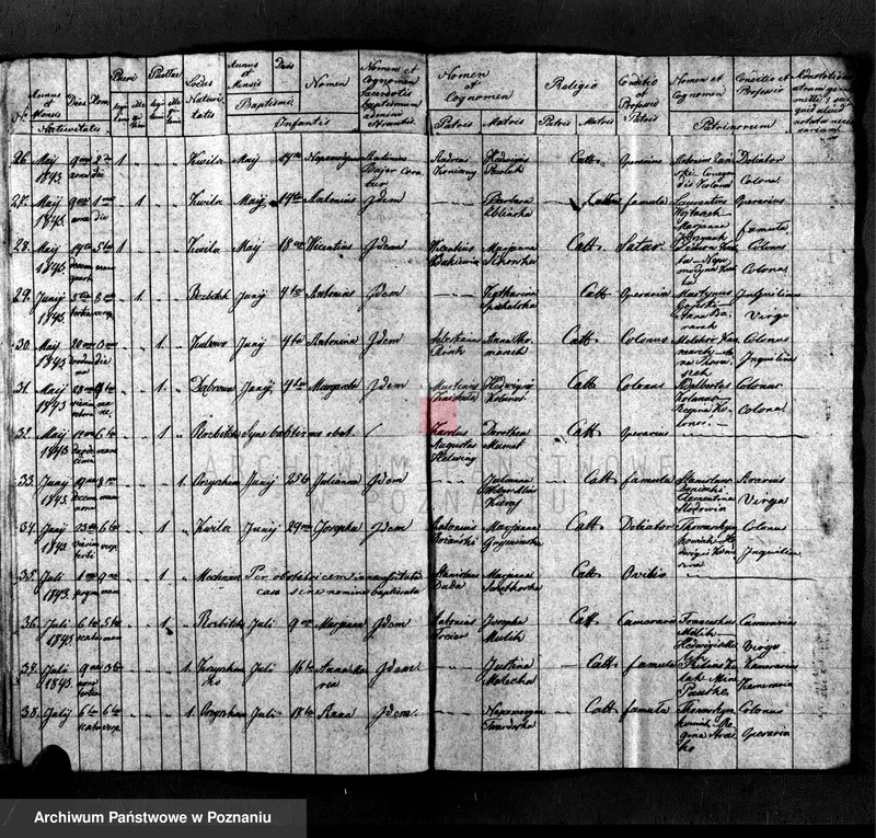 Obraz 6 z jednostki "Libri tres baptisatorum, copulatorum et mortuorum"