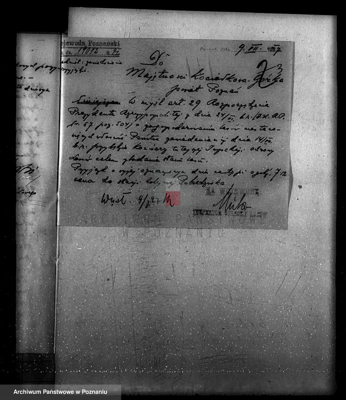 Obraz 7 z jednostki "Majętność leśna Kociałkowo powiat poznański"