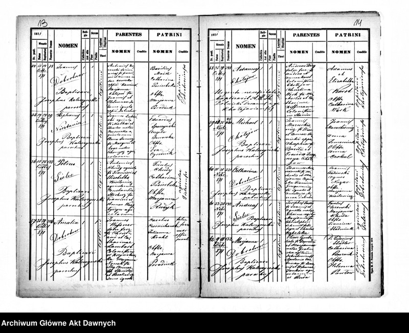 image.from.unit.number "Parafia: Dobrotwór. Dekanat: Busk. Kopie z ksiąg metrykalnych ur., śl., zg. dla miasta Dobrotwór i wsi: Zawonie, Sielec Bieńków, Niestanice, Chołojów."