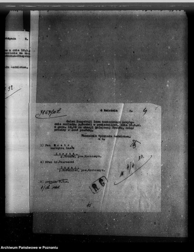 Obraz 8 z jednostki "/Majętność leśna Bugaj / powiat krotoszyński"