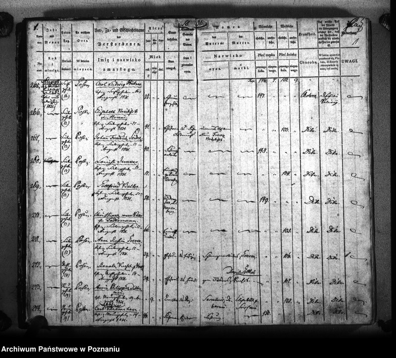 Obraz 4 z jednostki "Sterbenbuch"