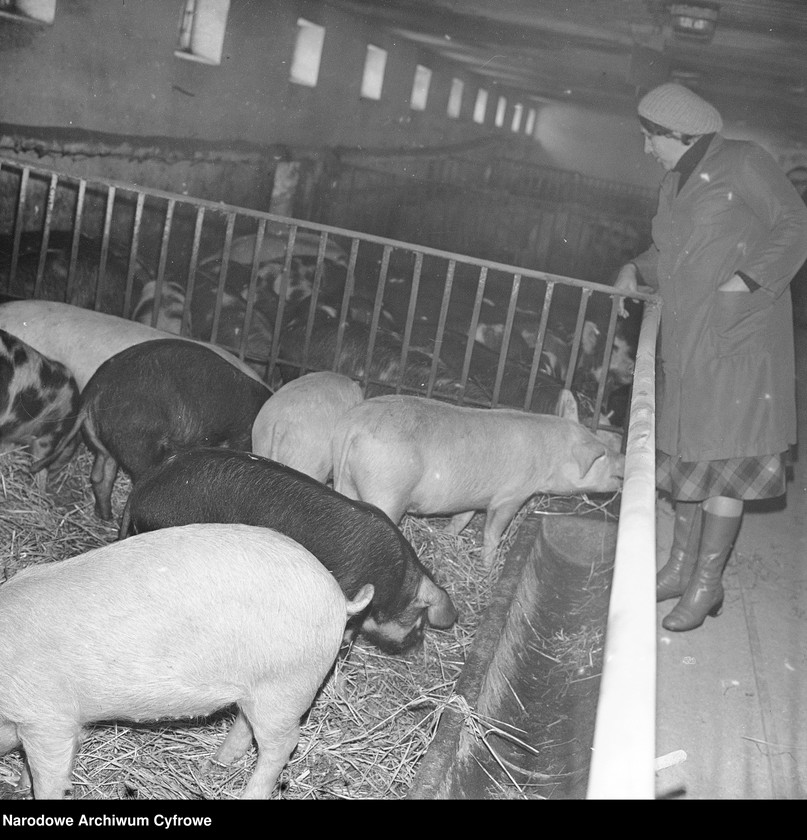 image.from.unit.number "Spółdzielnia Kółek Rolniczych w Jasieńcu"