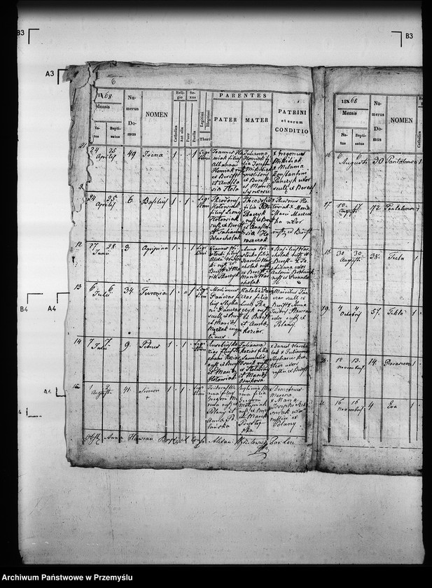 Obraz 10 z jednostki "[Kopie ksiąg metrykalnych parafii Berest z filią Polany (dekanat Grybów)]"