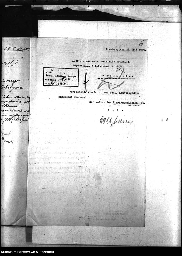 Obraz 10 z jednostki "Nosacizna - Wolsztyn"