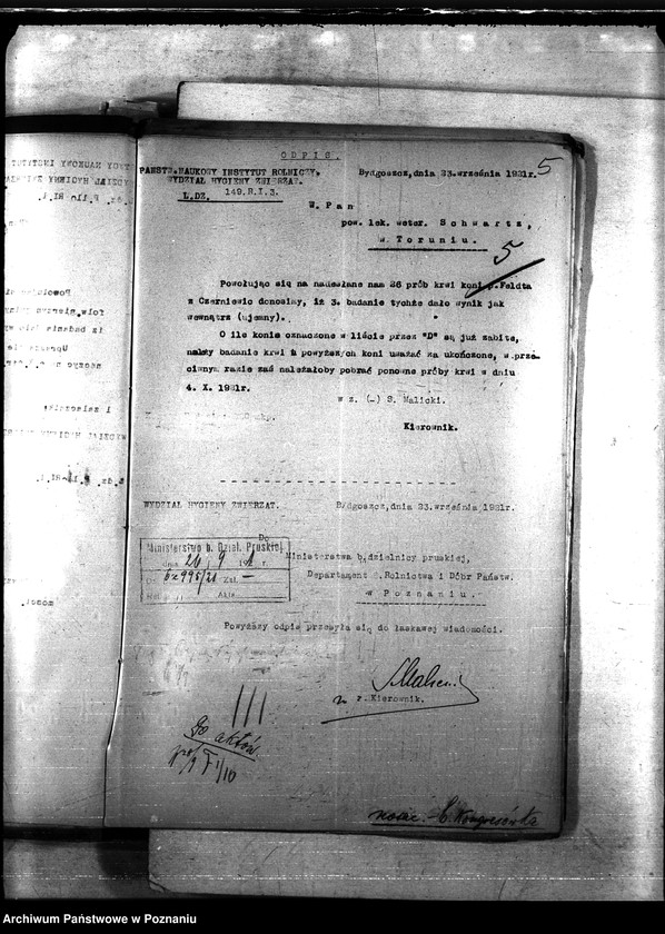 Obraz 9 z jednostki "Nosacizna - b. Kongresówka"