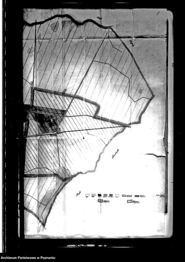 Obraz 5 z jednostki "Majątek Niegolewo powiatu nowotomyskiego wyłączenie z art. 4 i 5 ustawy o wykonaniu reformy rolnej - Stanisław Niegolewski"