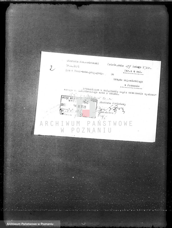 Obraz 5 z jednostki "Nadzór nad gospodarką w lasach L. Kanteckiego Kania powiat ostrowski"