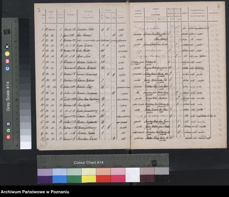 Obraz 4 z jednostki "Spis zgonów"