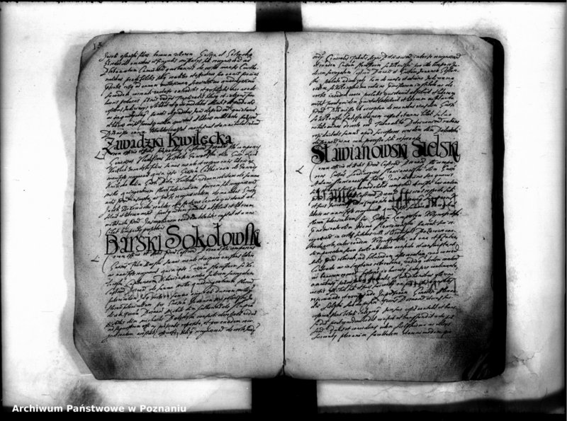 Obraz 15 z jednostki "Inscriptiones [inducta]"