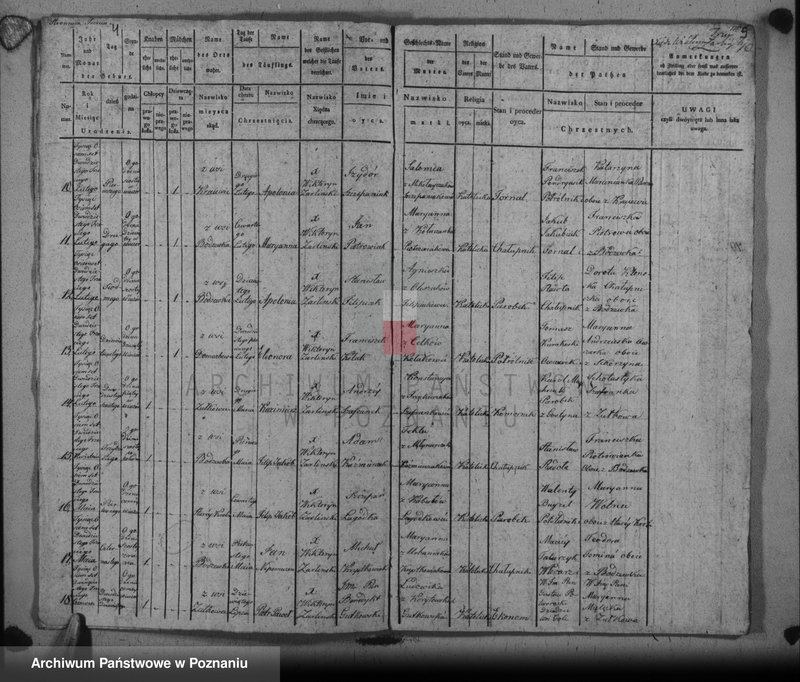 image.from.unit.number "Liber baptisatorum, copulatorum u. mortuorum"