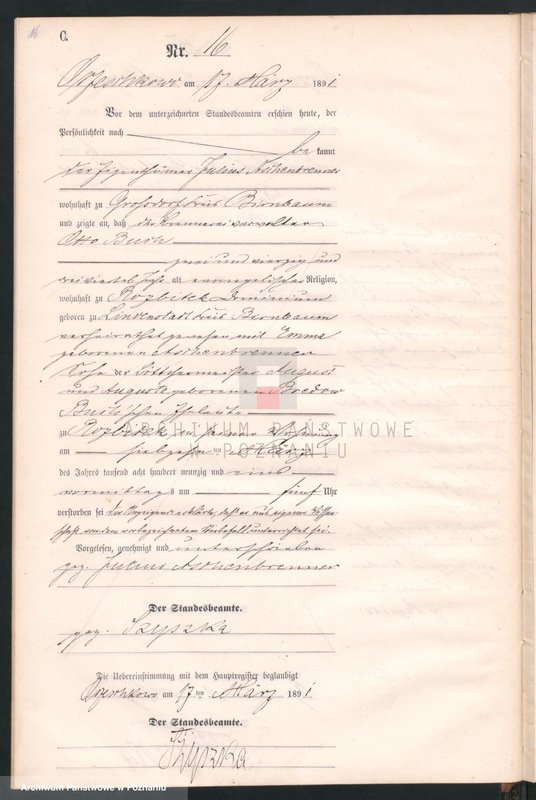 Obraz 19 z jednostki "Księga zgonów"