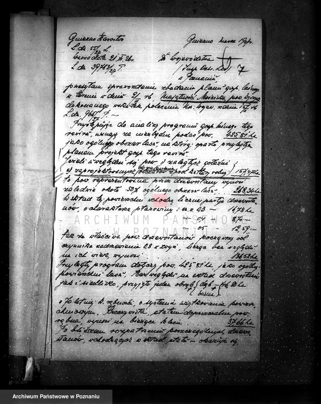 Obraz 12 z jednostki "Majętność leśna Kostrzynek-Mościska powiat wyrzyski"