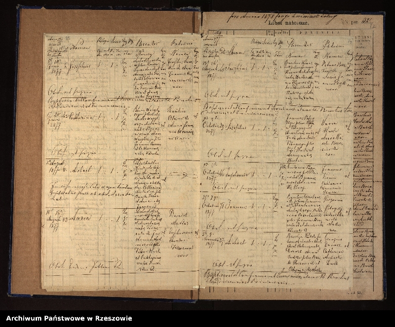 image.from.unit.number "Księga urodzeń, małżeństw, zgonów dla miejscowości Dźwiniacz Dolny"