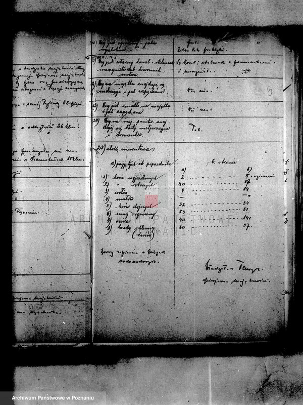 Obraz 7 z jednostki "Dzierżawa majątku państwowego Przybroda"