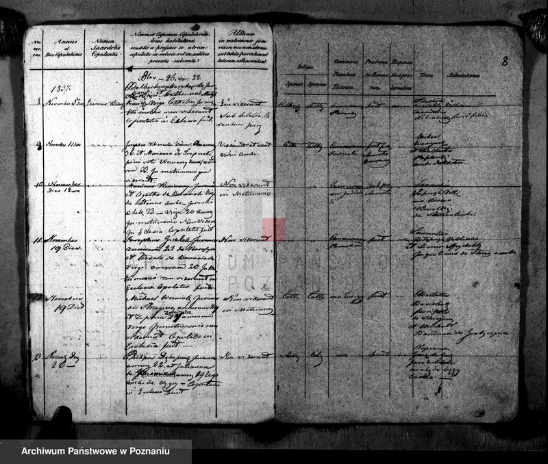 image.from.unit.number "Metrices copulatorum"