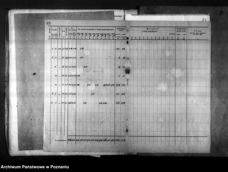 Obraz 17 z jednostki "Plan gospodarstwa leśnego dla lasu Jaegera Waltera gmina Zatom Nowy powiat międzychodzki 1933-1944"