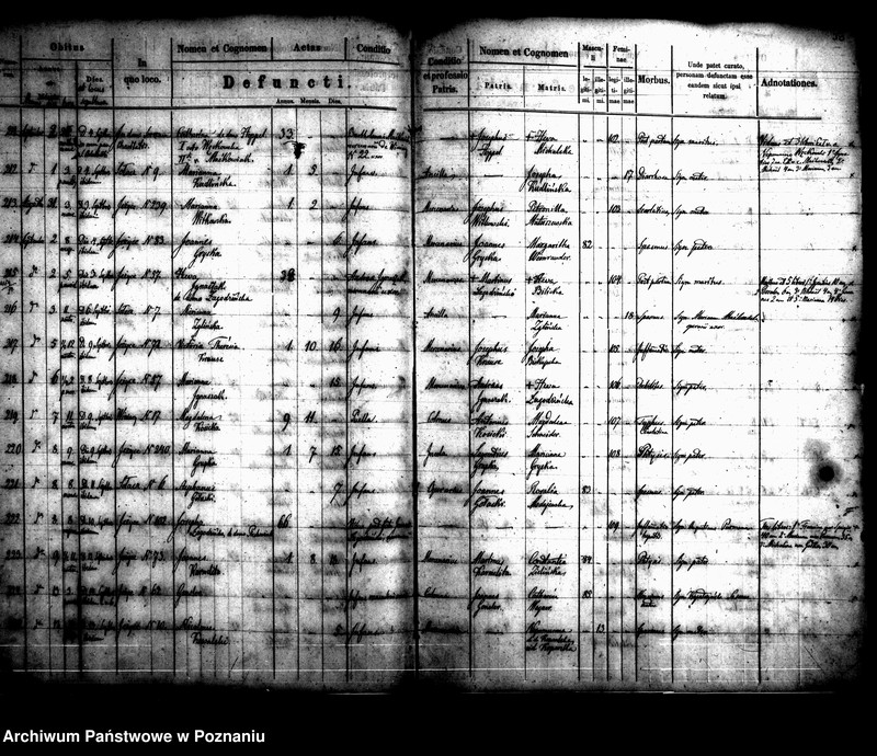 Obraz 17 z jednostki "Księga zgonów"