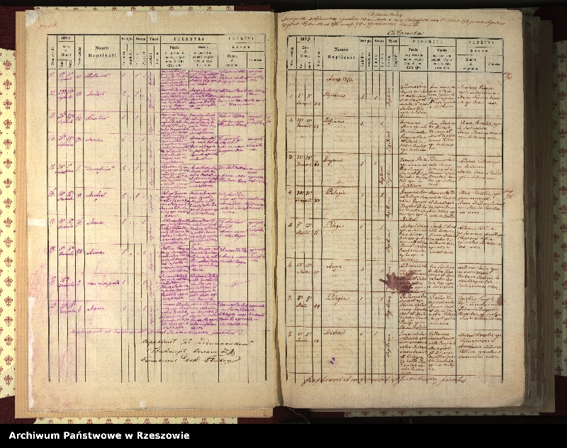 Obraz 8 z jednostki "Księga urodzeń, małżeństw i zgonów dla miejscowości Świątkowa Wielka, Świątkowa Mała (Świątkówka), Świerzowa (Świerzowa Ruska)"